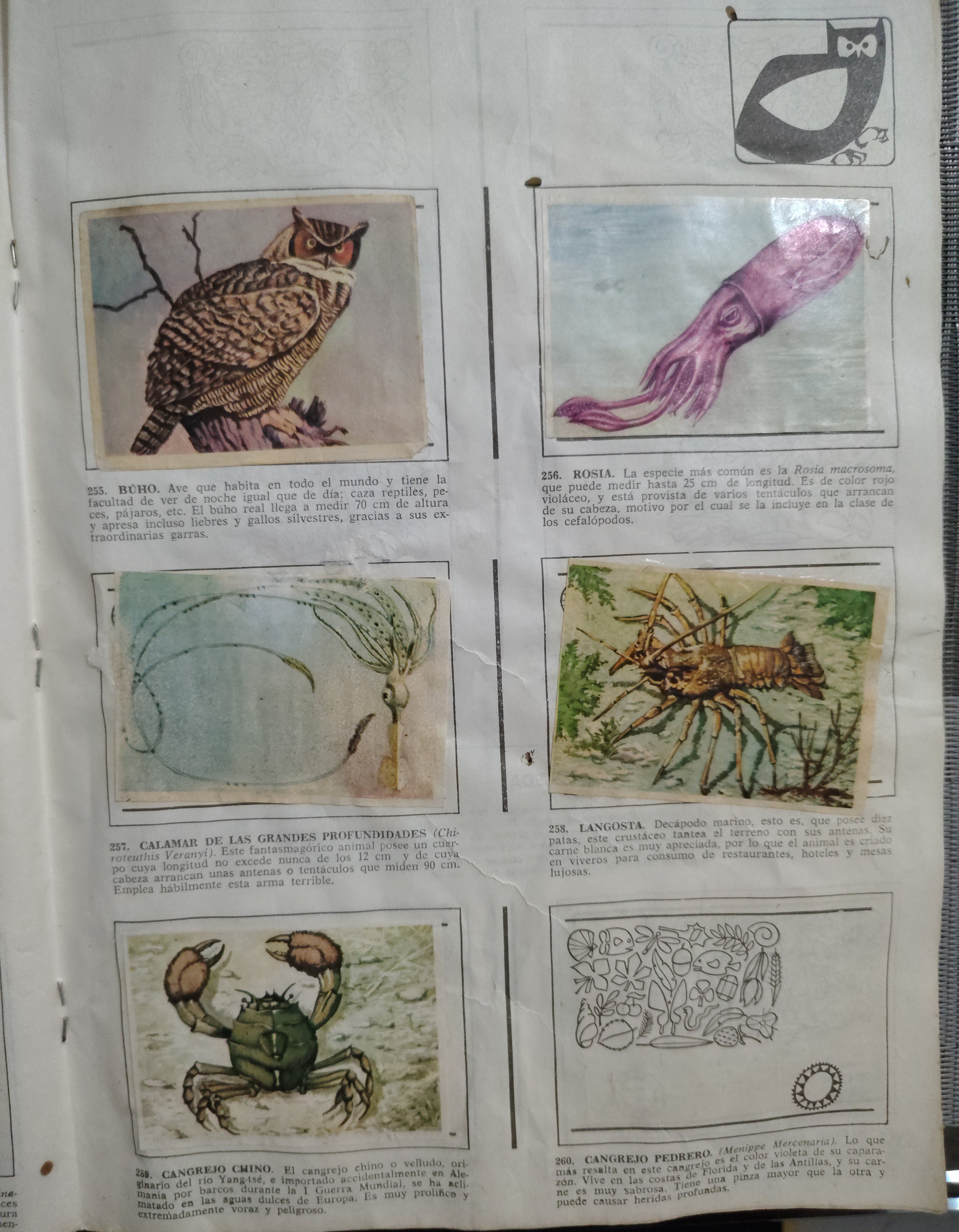 Álbum Incompleto "Historia Natural" (Vintage) – Para Repuesto de Láminas – Artículo de Colección / Segunda Mano