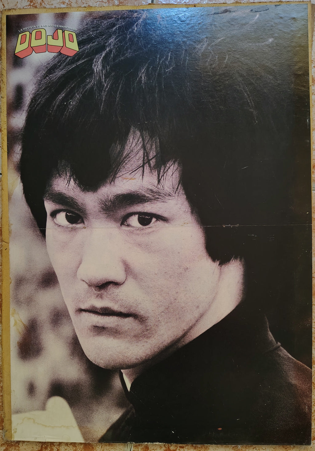 Póster Vintage de Bruce Lee – Revista Dojo sobre Madera (Única Unidad)