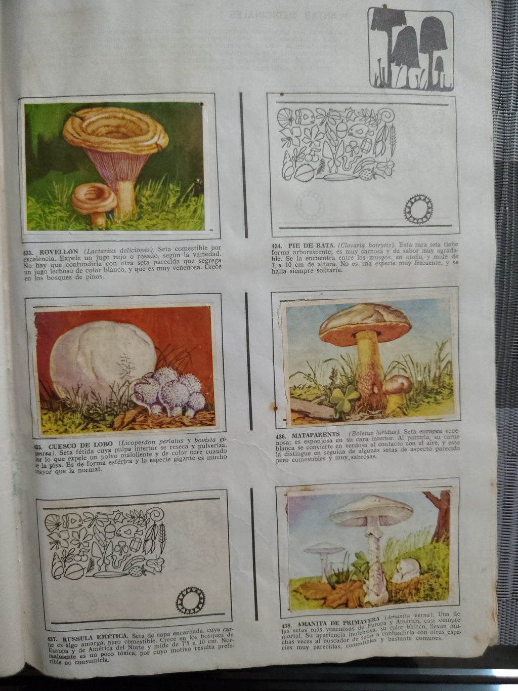 Álbum Incompleto "Historia Natural" (Vintage) – Para Repuesto de Láminas – Artículo de Colección / Segunda Mano