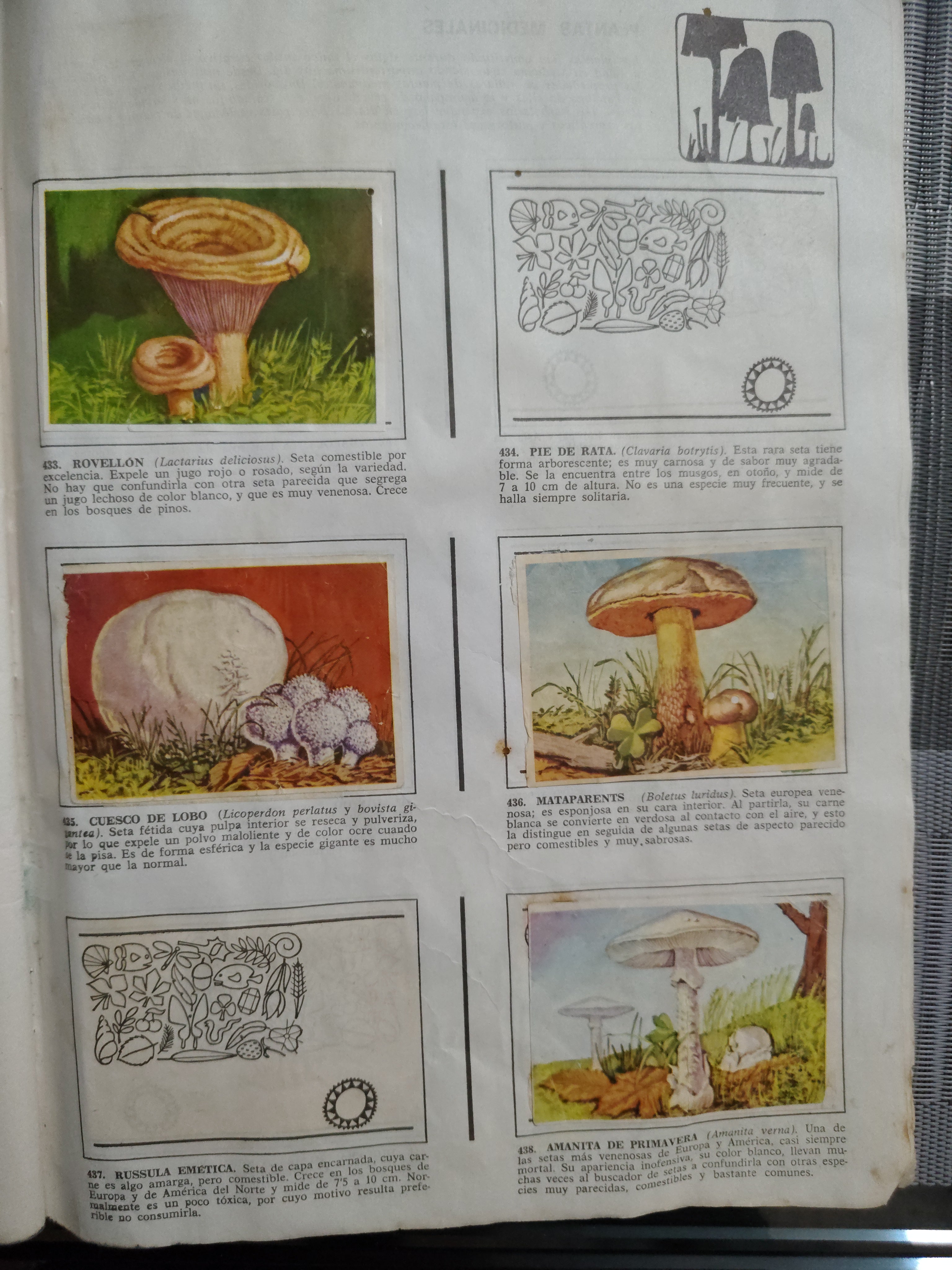 Álbum Incompleto "Historia Natural" (Vintage) – Para Repuesto de Láminas – Artículo de Colección / Segunda Mano