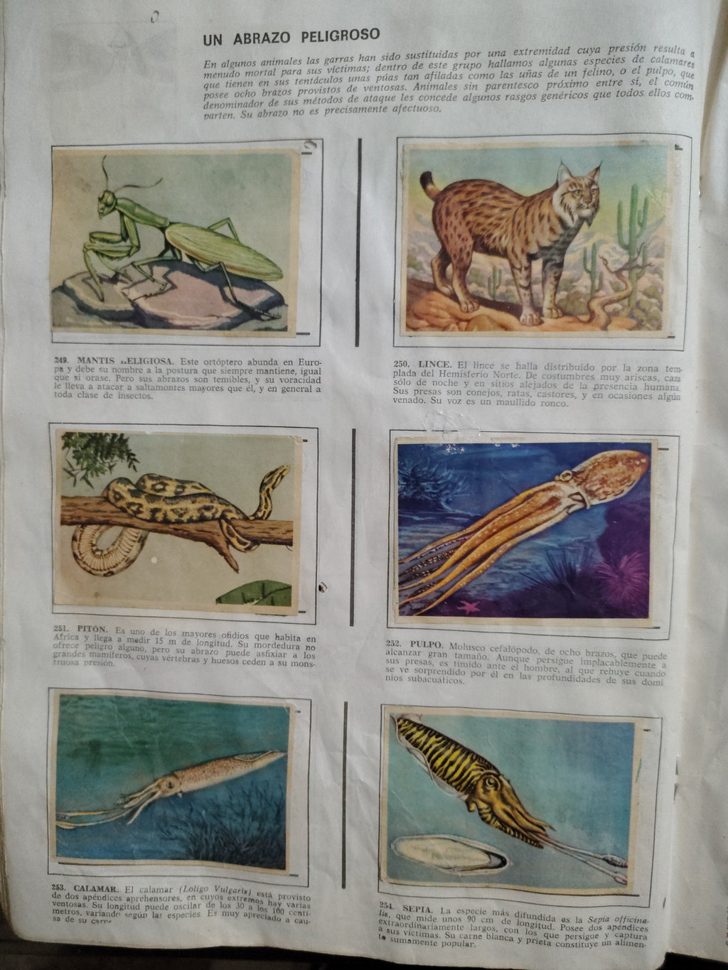 Álbum Incompleto "Historia Natural" (Vintage) – Para Repuesto de Láminas – Artículo de Colección / Segunda Mano