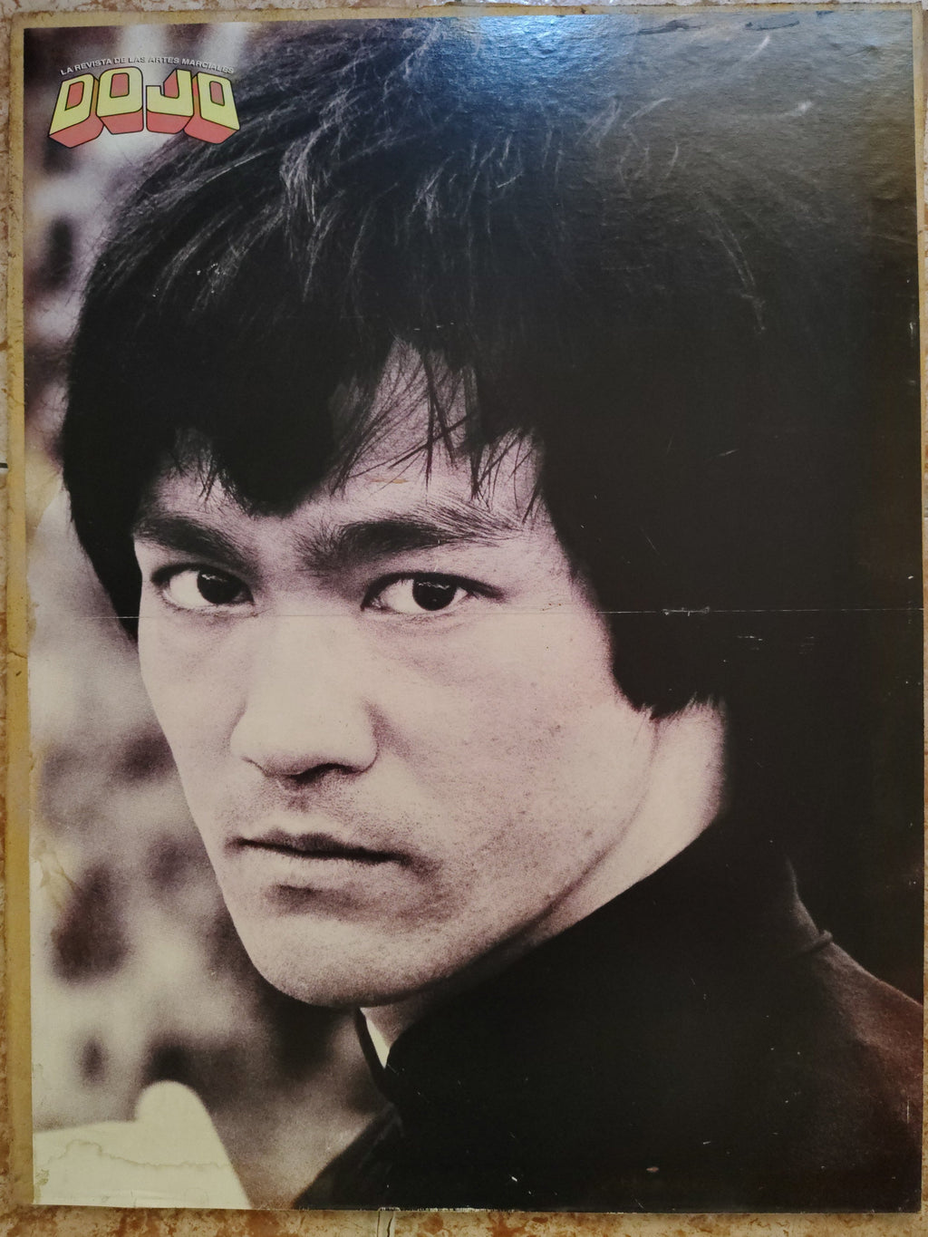 Póster Vintage de Bruce Lee – Revista Dojo sobre Madera (Única Unidad)