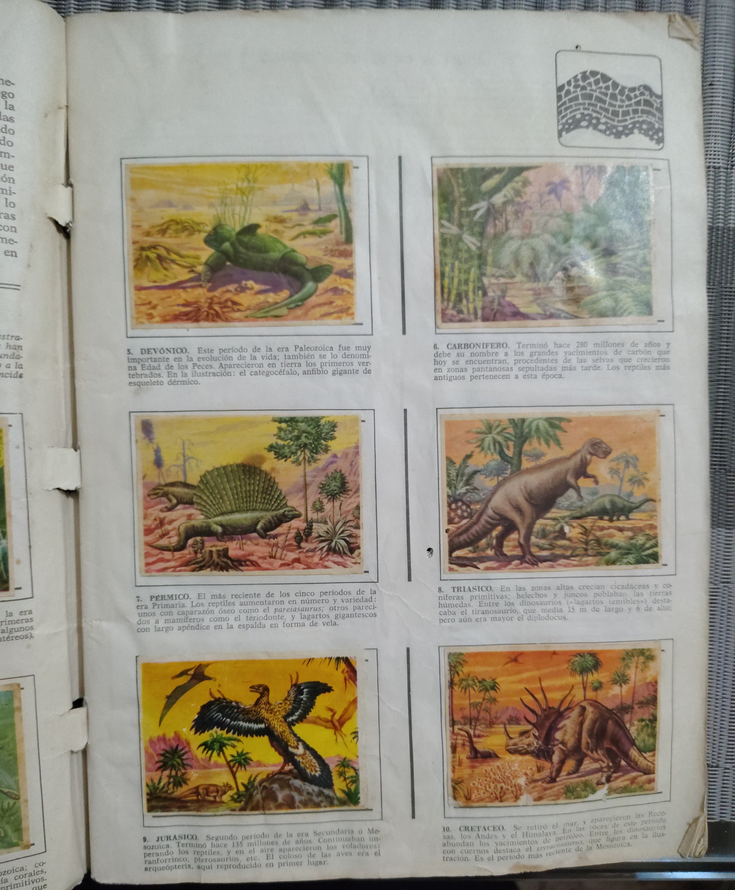 Álbum Incompleto "Historia Natural" (Vintage) – Para Repuesto de Láminas – Artículo de Colección / Segunda Mano